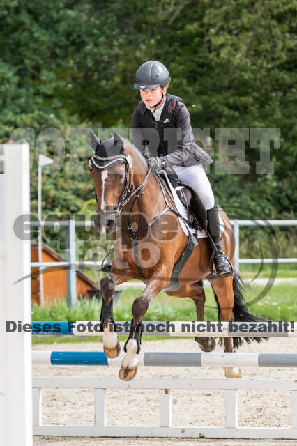 Late-Entry-Vielseitigkeit Langenfeld (06.+07.07.2020)