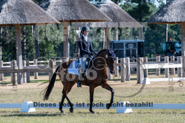Kronenberg - De Peelbergen (August 2020)