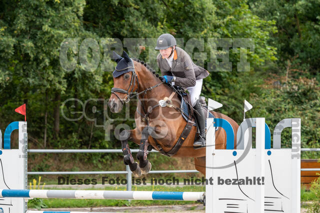 Late-Entry-Vielseitigkeit Langenfeld (06.+07.07.2020)