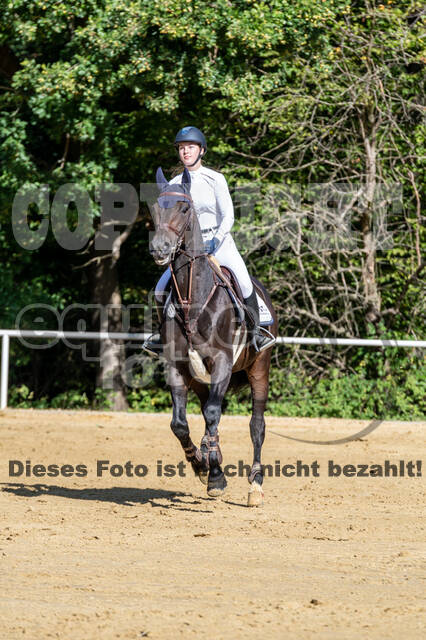 RFV Dinslaken-Hiesfeld (Herbstturnier)