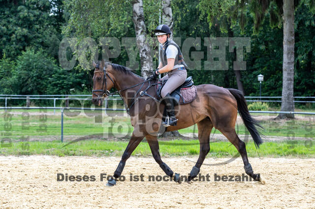 Hunter Geländetraining 10.07.2021 (Sonsbeck)