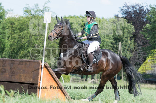 Vielseitigkeitsturnier ZRuFV von Lützow Hamminkeln