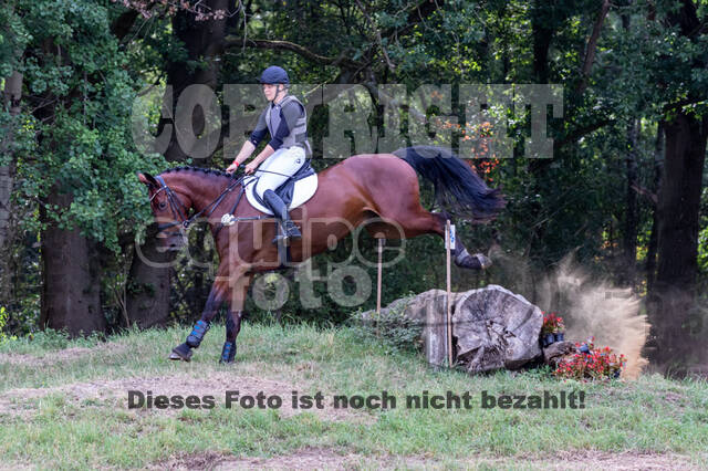 Late-Entry Vielseitigkeit Hamminkeln/Wesel (01.+02.08.2020)