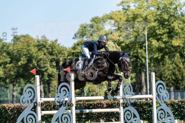 Kronenberg - De Peelbergen (August 2020)