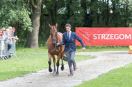 FEI European Championship Eventing 2017
