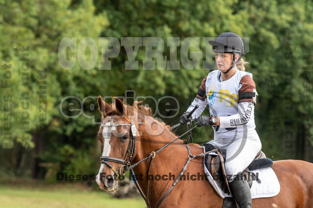 Vielseitigkeit RSV Wesel Obrighoven (26.+27.09.2020)