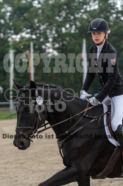 Goldene Schärpe 2020 - Pferde