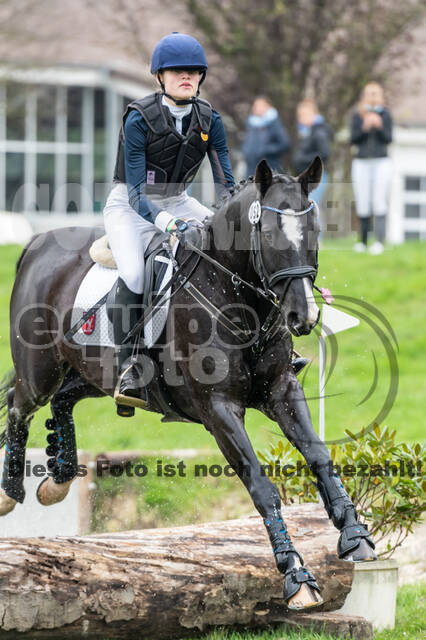 Goldene Schärpe 2020 - Pferde