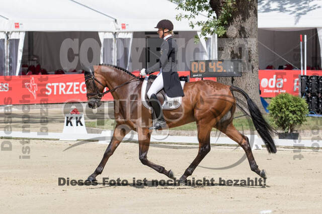 FEI European Championship Eventing 2017