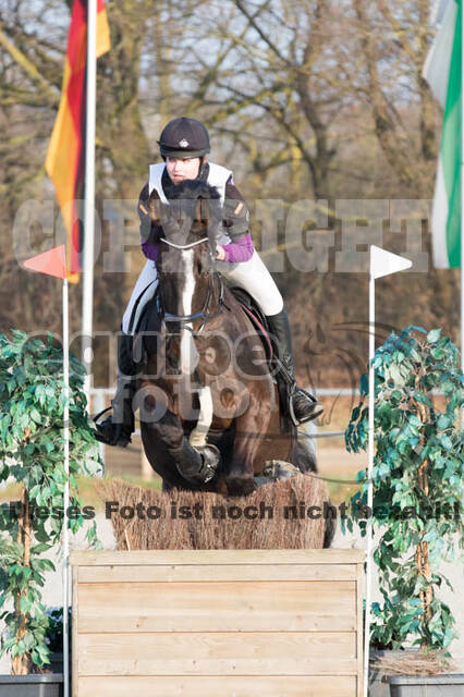 Eventing Langenfeld 2018