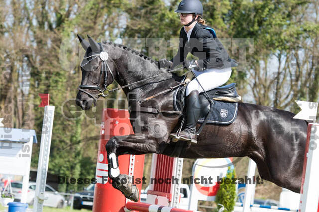 Frühjahrsvielseitigkeit RV Seydlitz Kamp