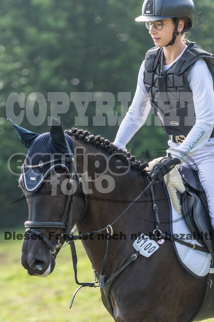 Goldene Schärpe 2021 - Ponys