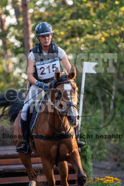 De Peelbergen (August 2020)