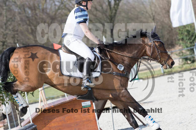 Eventing Langenfeld 2018