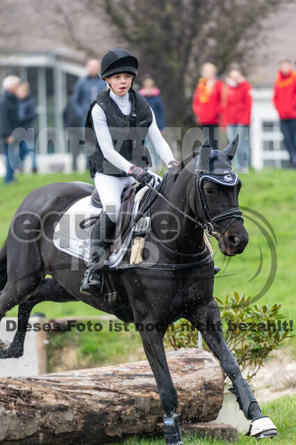 Goldene Schärpe 2020 - Pferde