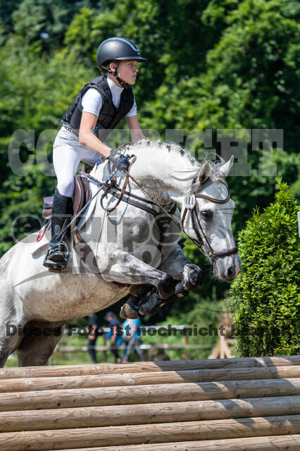 Goldene Schärpe 2021 - Ponys