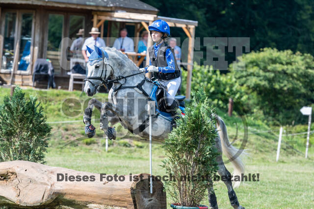 Goldene Schärpe 2021 - Ponys