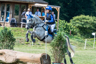 Goldene Schärpe 2021 - Ponys