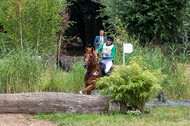 Late-Entry Vielseitigkeit Hamminkeln/Wesel (01.+02.08.2020)