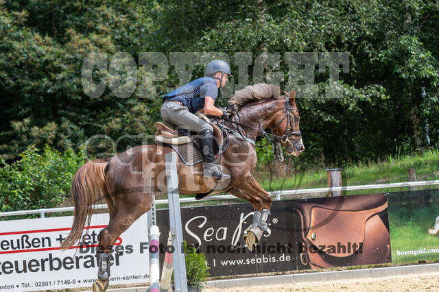 Hunter Geländetraining 10.07.2021 (Sonsbeck)