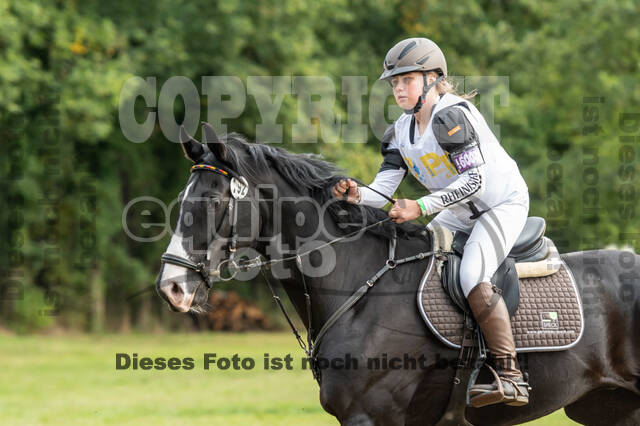 Vielseitigkeit RSV Wesel Obrighoven (26.+27.09.2020)