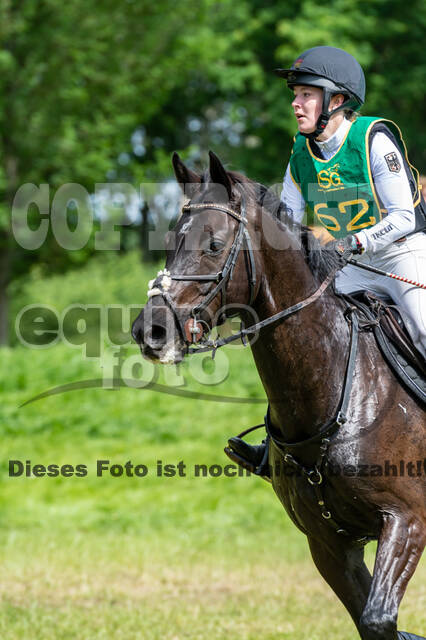 Westerstede Horse Trials (10.-13.06.2021)