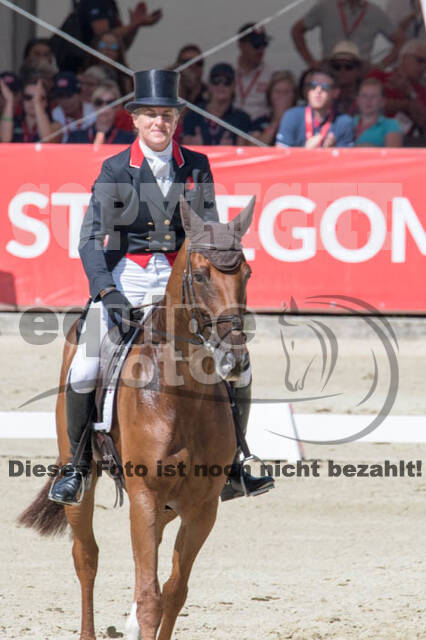 FEI European Championship Eventing 2017