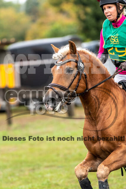 Vielseitigkeit RSV Wesel Obrighoven (26.+27.09.2020)