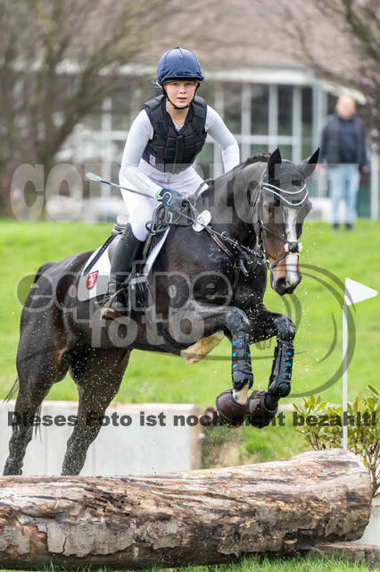 Goldene Schärpe 2020 - Pferde