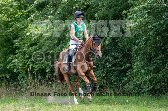 Late-Entry-Vielseitigkeit Gahlen (18.07.2020)