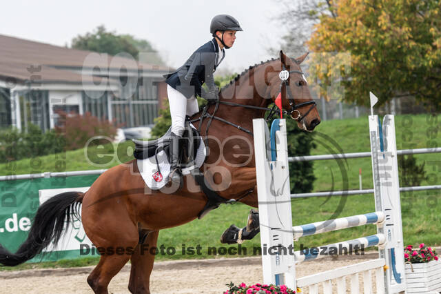 Goldene Schärpe 2020 - Pferde