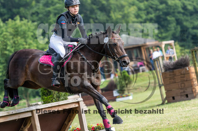 Goldene Schärpe 2021 - Ponys