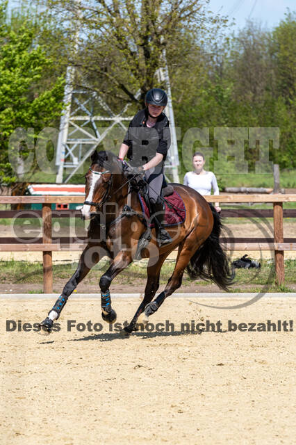 Geländetraining ZRFV Hamminkeln (09.05.2021)