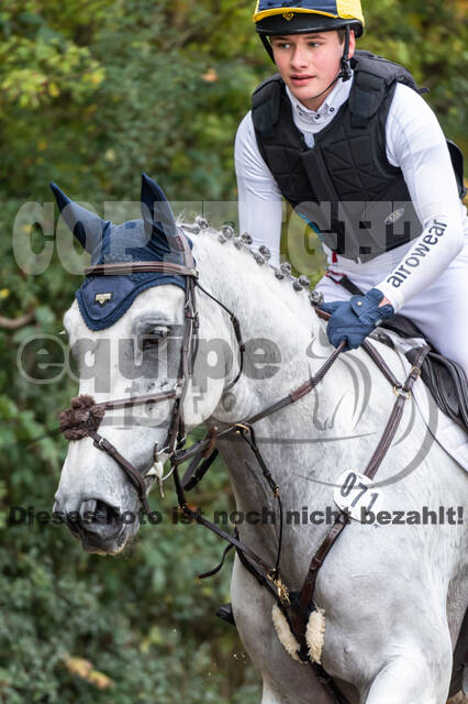 Goldene Schärpe 2020 - Pferde