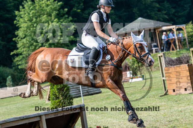 Goldene Schärpe 2021 - Ponys