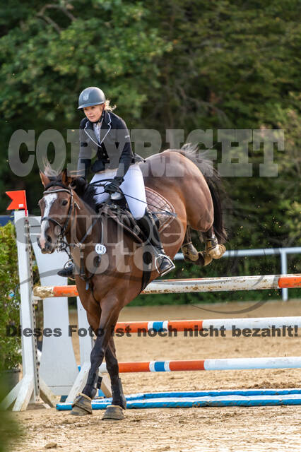 RFV Dinslaken-Hiesfeld (Herbstturnier)