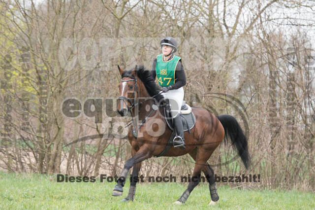 Frühjahrsvielseitigkeit RV Seydlitz Kamp