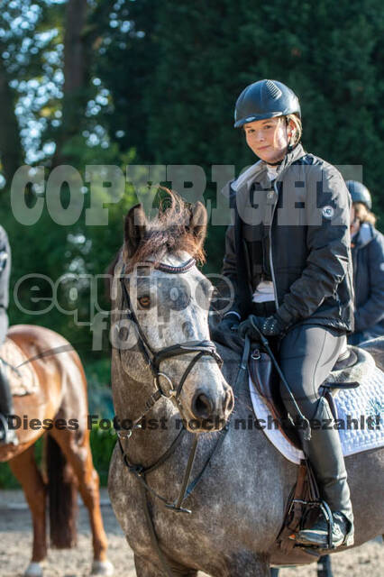 Vielseitigkeitslehrgang mit Jürg Kurbel (9.+10.11.2019)