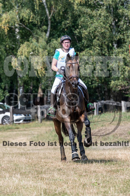 Late-Entry Vielseitigkeit Hamminkeln/Wesel (01.+02.08.2020)