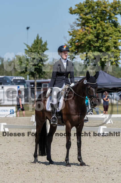 Kronenberg - De Peelbergen (August 2020)