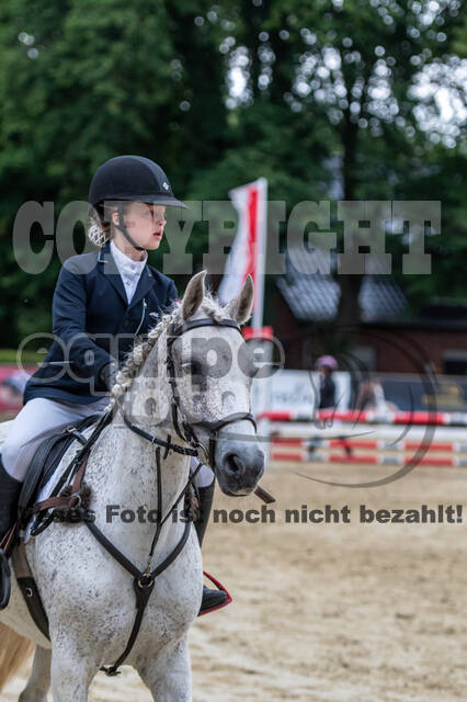 Goldene Schärpe 2021 - Ponys