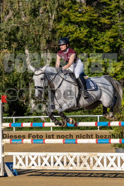 RFV Dinslaken-Hiesfeld (Herbstturnier)