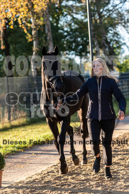 Deutsche Meisterschaft Vielseitigkeit (Luhmühlen)