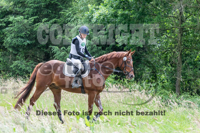 Westerstede Horse Trials 2021