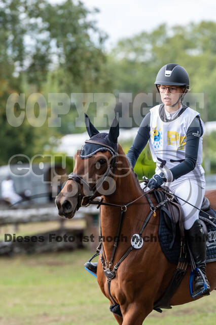 Vielseitigkeit RSV Wesel Obrighoven (26.+27.09.2020)