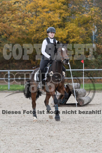 IGV Lehrgang der Sieger der Cups mit Frank Ostholt