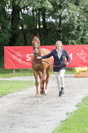 FEI European Championship Eventing 2017