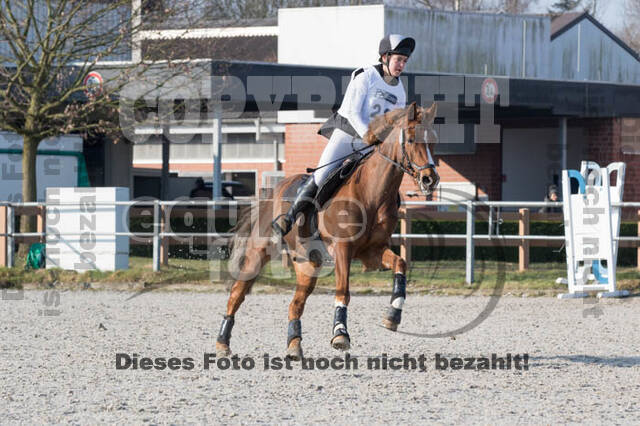 Eventing Langenfeld 2018