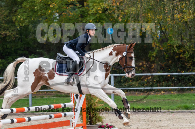 Goldene Schärpe 2020 - Pferde