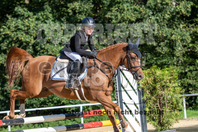 RFV Dinslaken-Hiesfeld (Herbstturnier)